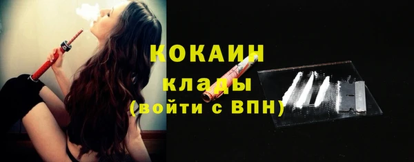гидра Балахна