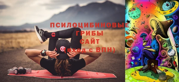 гидра Балахна