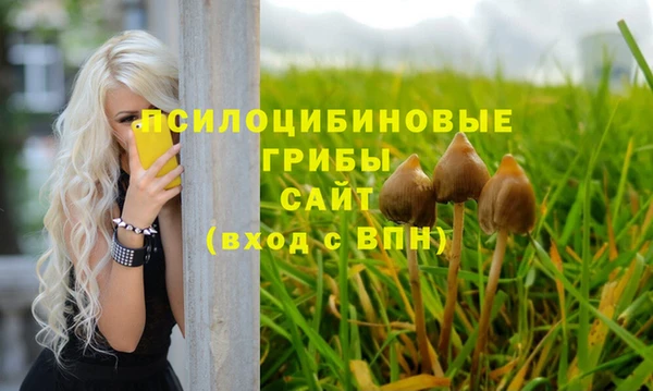 гидра Балахна