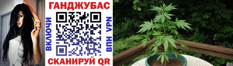 Канабис White Widow  Боготол 
